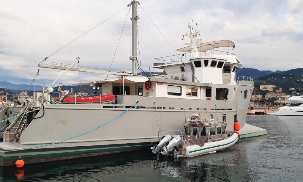 Silhouette Whales and Dolphins Expedition