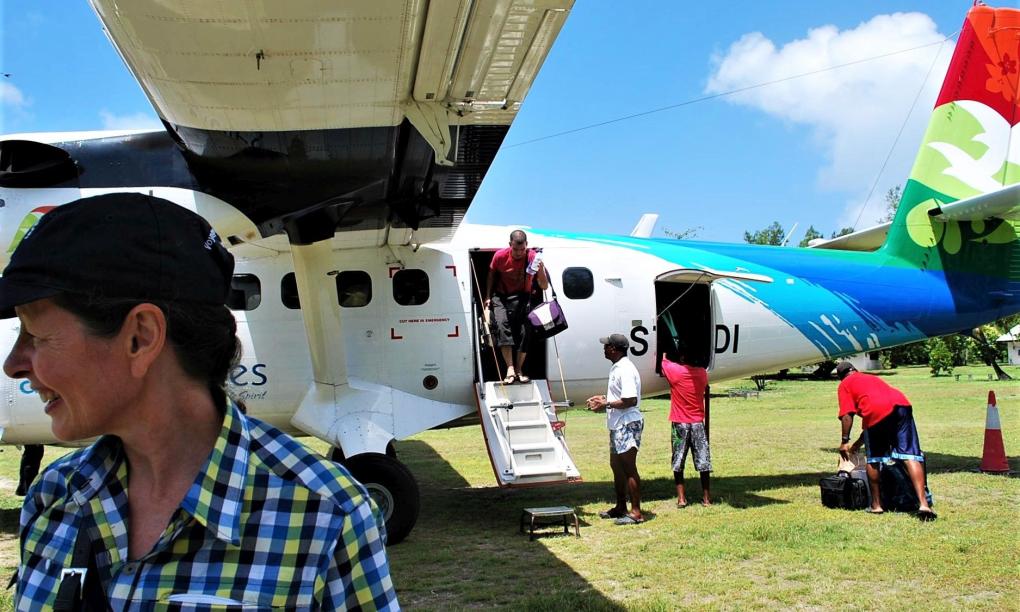Silhouette Whales and Dolphins Expedition