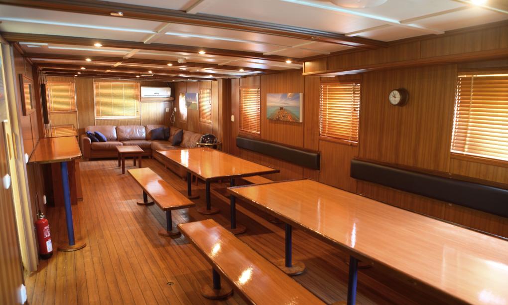 Silhouette Whales and Dolphins Expedition