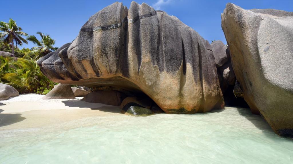 Foto 8: Silhouette Whales and Dolphins Expedition - Seychellen (Seychellen)