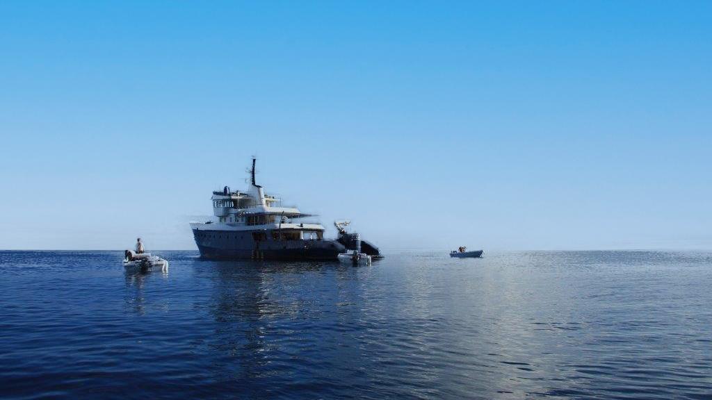 Foto 23: Silhouette Whales and Dolphins Expedition - Seychellen (Seychellen)