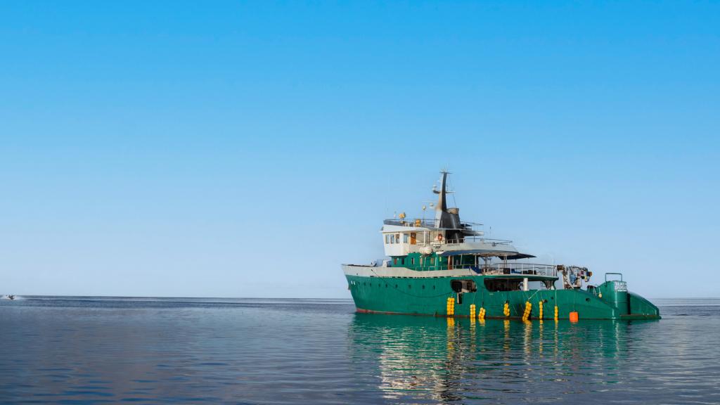 Foto 25: Silhouette Whales and Dolphins Expedition - Seychellen (Seychellen)