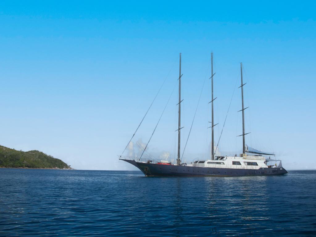Silhouette Whales and Dolphins Expedition - Zdjęcie 7