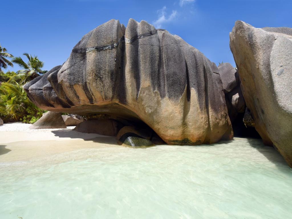 Silhouette Whales and Dolphins Expedition - Photo 8