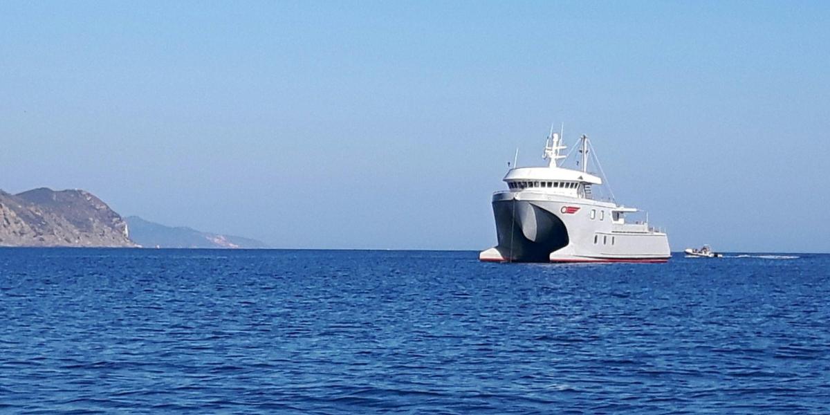 Silhouette Whales and Dolphins Expedition
