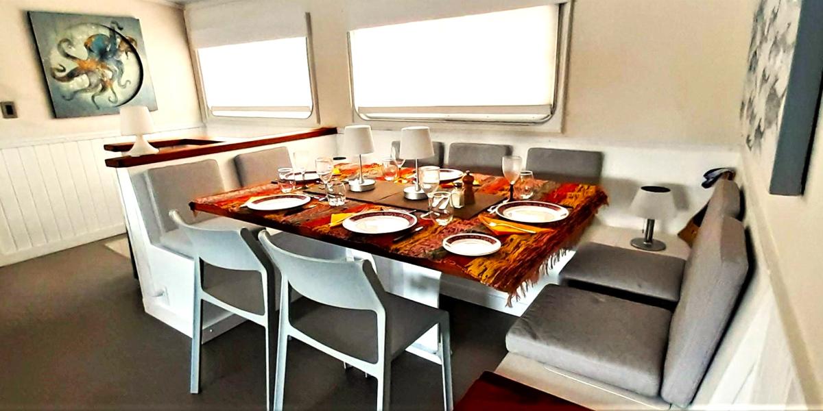 Silhouette Whales and Dolphins Expedition