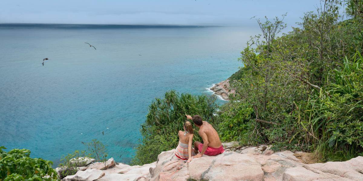Silhouette Whales and Dolphins Expedition