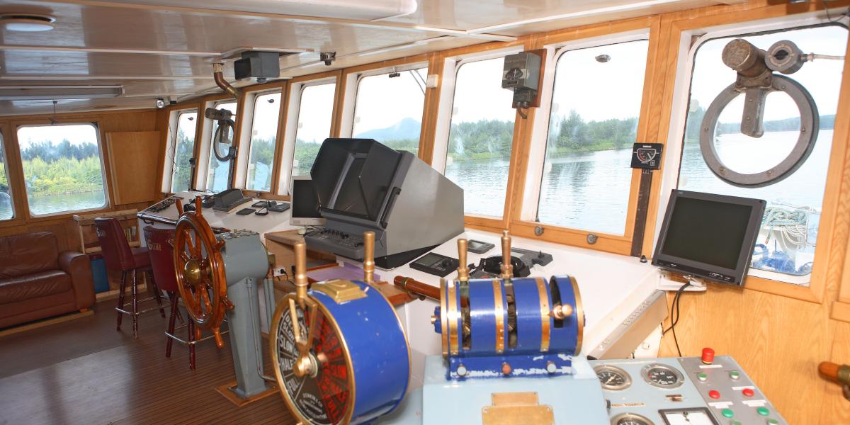 Silhouette Whales and Dolphins Expedition