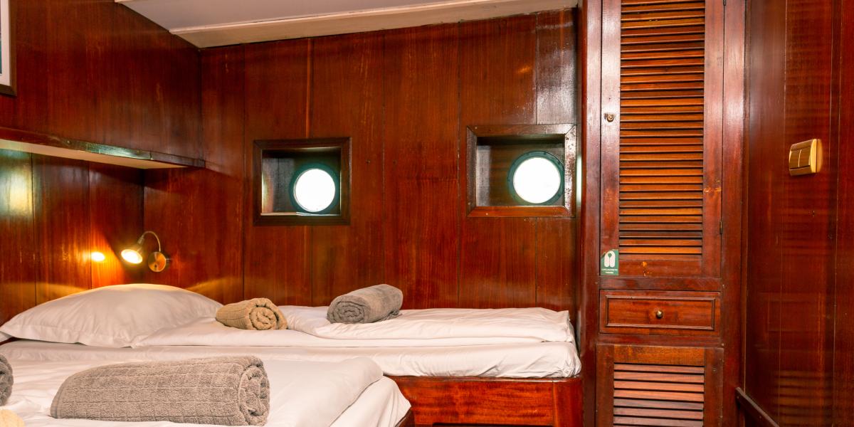 Silhouette Whales and Dolphins Expedition - Full Charter