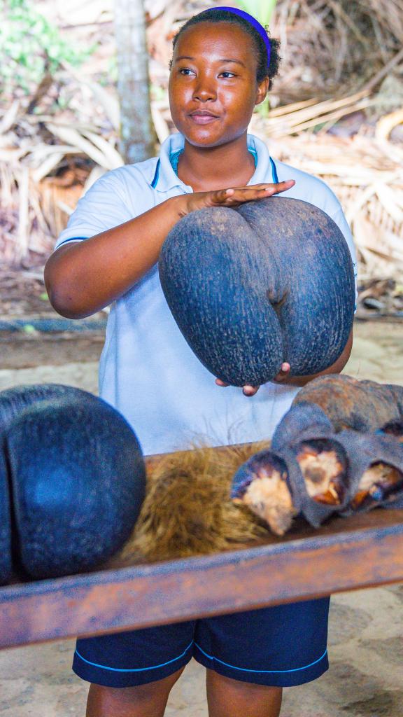 Foto 29: Silhouette Whales and Dolphins Expedition - Seychellen (Seychellen)