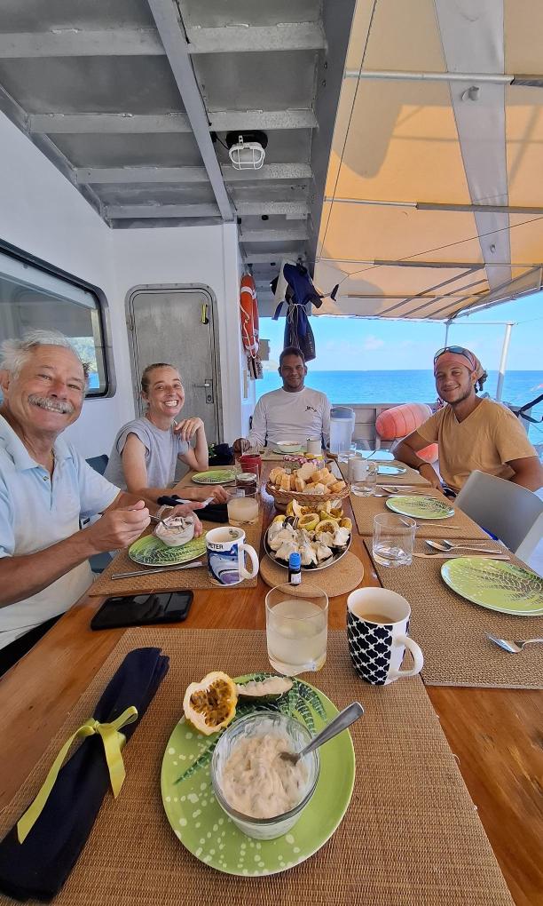 Silhouette Whales and Dolphins Expedition