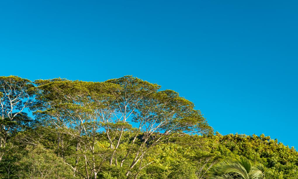 Milles Montagnes Residence