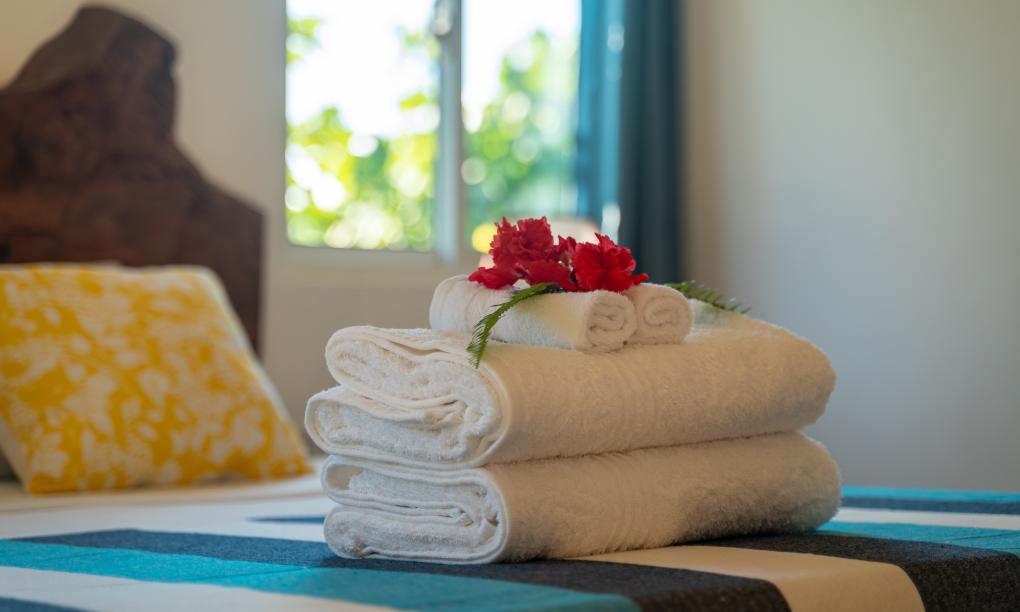 Milles Montagnes Residence - 1-Schlafzimmer-Appartement