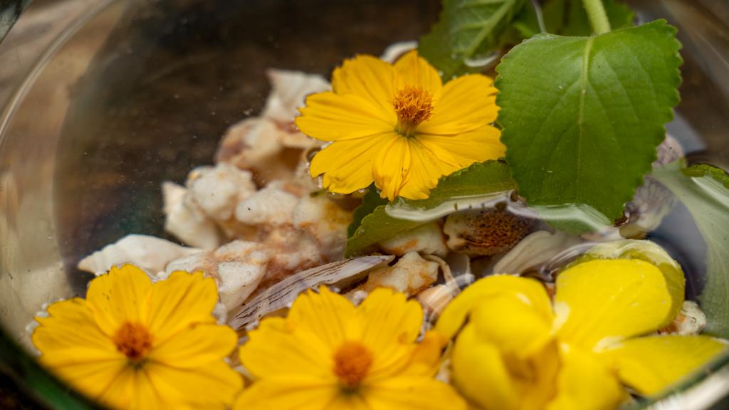 Photo 13: Milles Montagnes Residence - Mahé (Seychelles)