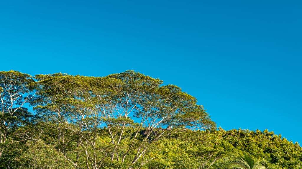 Foto 33: Milles Montagnes Residence - Mahé (Seychelles)
