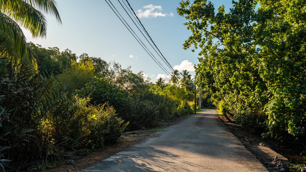 Photo 40: Milles Montagnes Residence - Mahé (Seychelles)