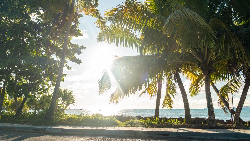 Foto 32: Milles Montagnes Residence - Mahé (Seychellen)