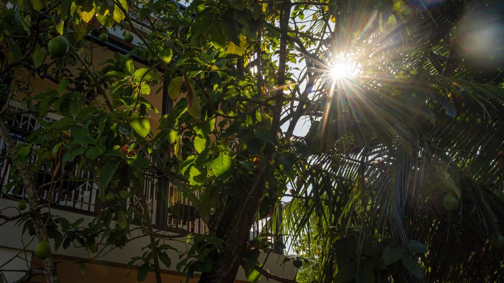 Foto 25: The Runway Lodge - Mahé (Seychellen)