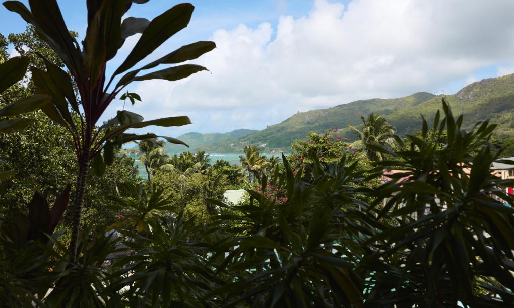 laila, A Marriott Tribute Portfolio Resort - Junior Suite