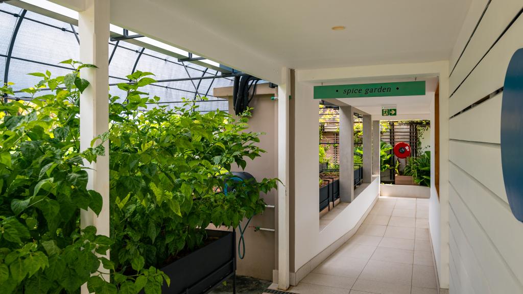 Foto 102: laila, A Marriott Tribute Portfolio Resort - Mahé (Seychelles)