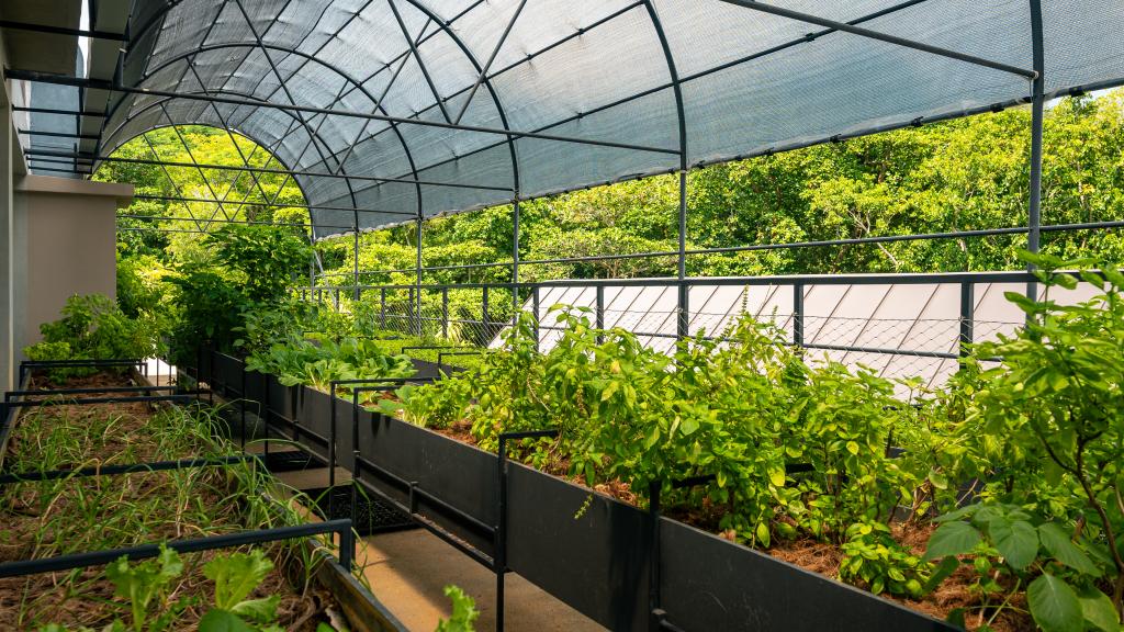 Foto 103: laila, A Marriott Tribute Portfolio Resort - Mahé (Seychelles)