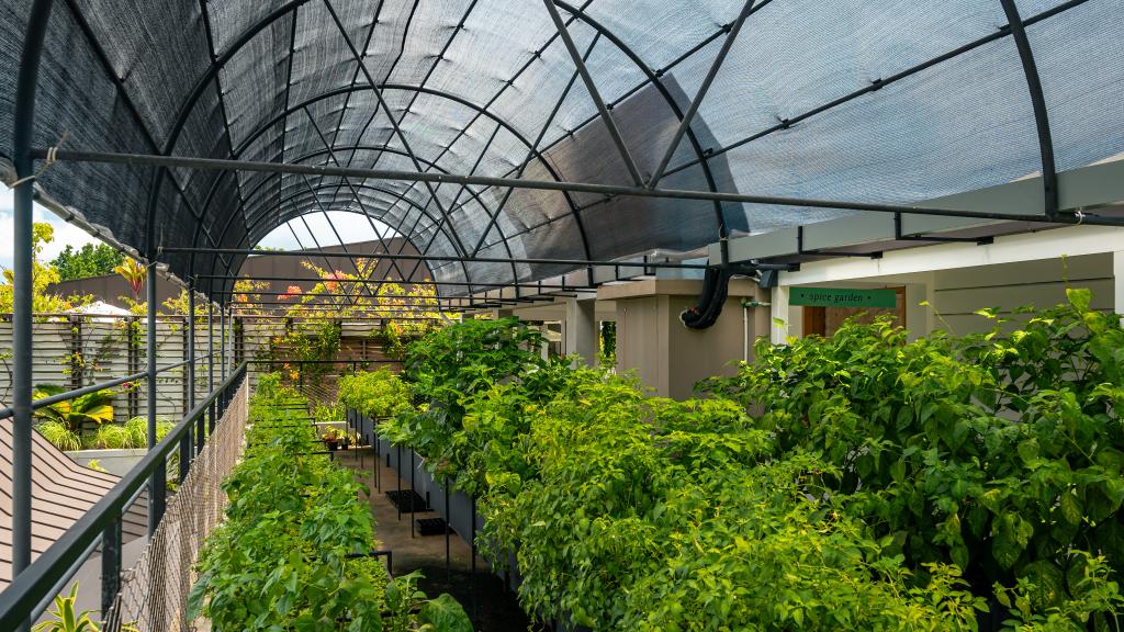 Foto 104: laila, A Marriott Tribute Portfolio Resort - Mahé (Seychellen)