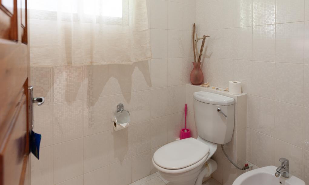 Jardin Marron - Pti Zil