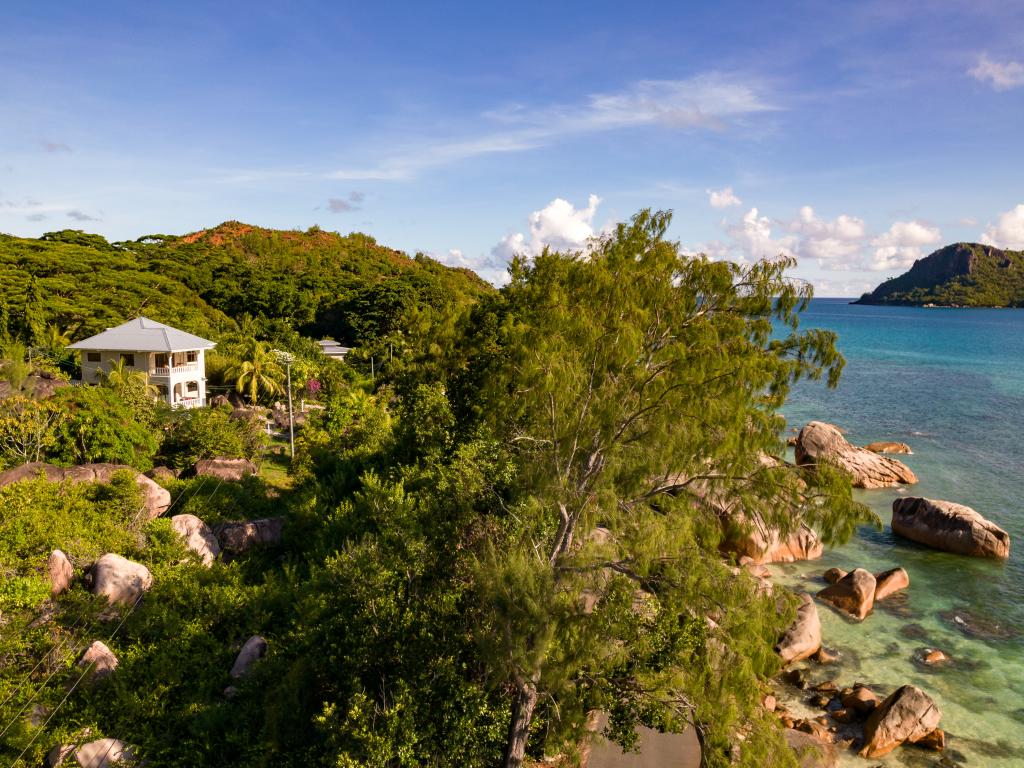 Jardin Marron - Foto 4