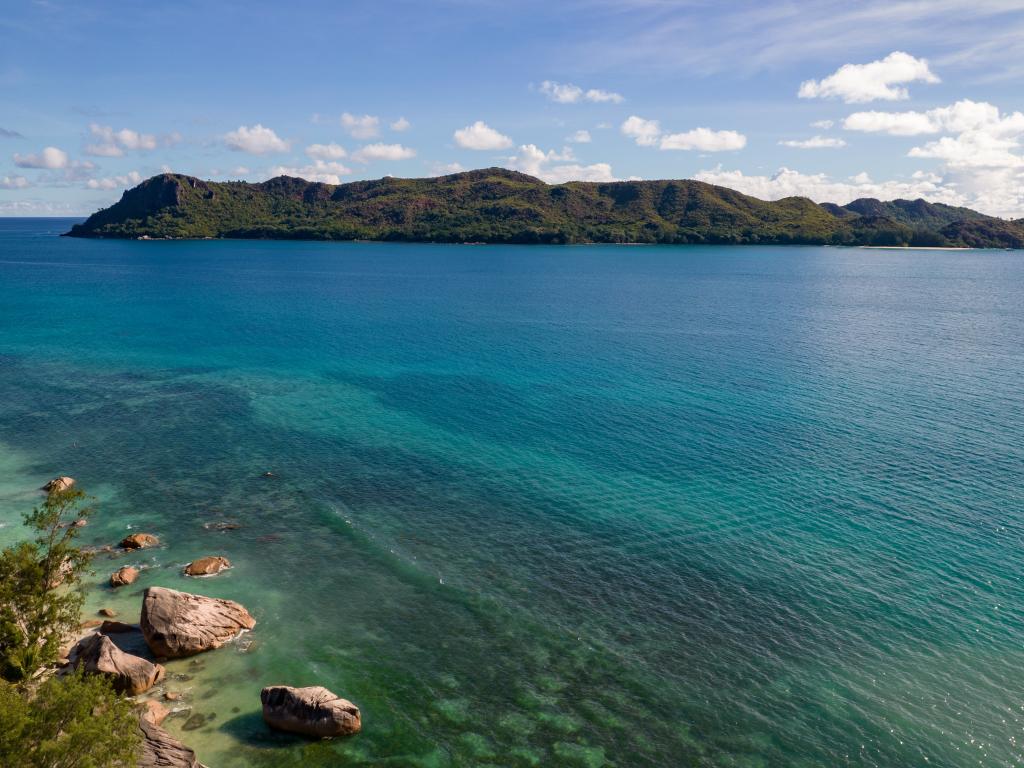 Jardin Marron - Foto 5