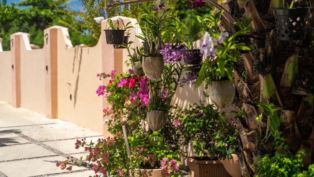 Photo 3: Erica's Residence Self Catering Apartment - Mahé (Seychelles)