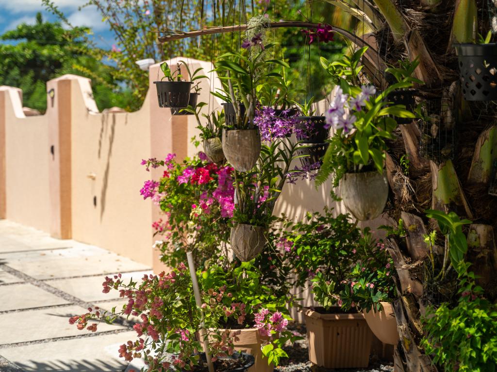 Erica's Residence Self Catering Apartment - Photo 3