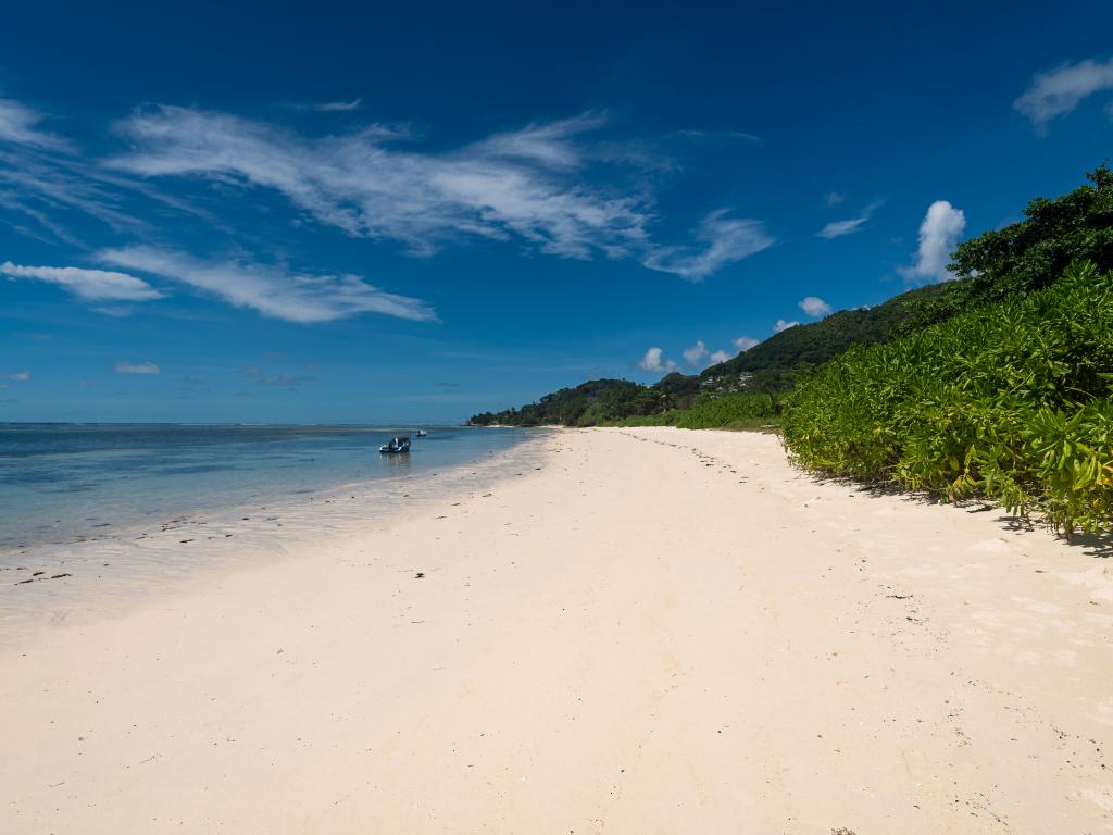 Erica's Residence Self Catering Apartment - Photo 7