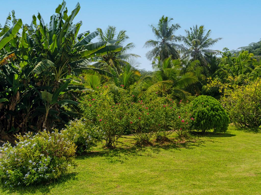 Paul's Residence - Photo 6