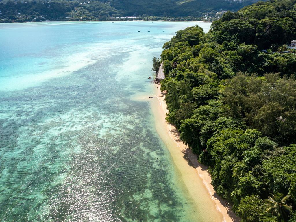 Paul's Residence - Photo 7