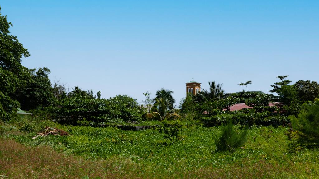 Foto 35: Coco de Mahi - La Digue (Seychelles)