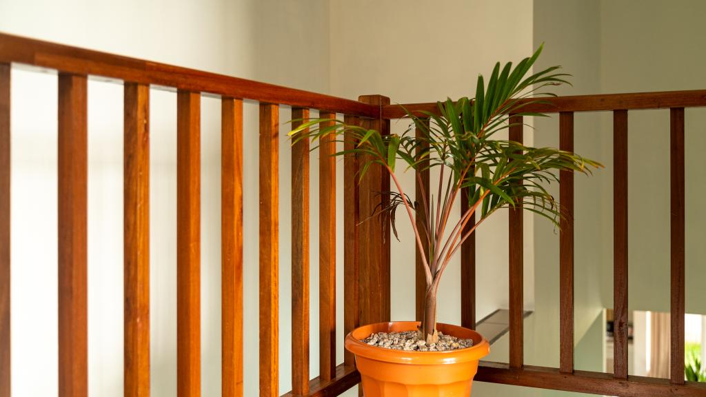 Foto 38: Maison Dora - Mahé (Seychelles)