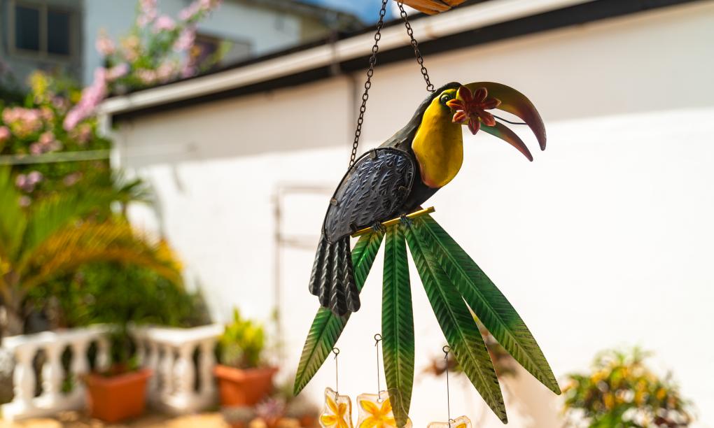 Ogumka 2 Self Catering Santa Maria