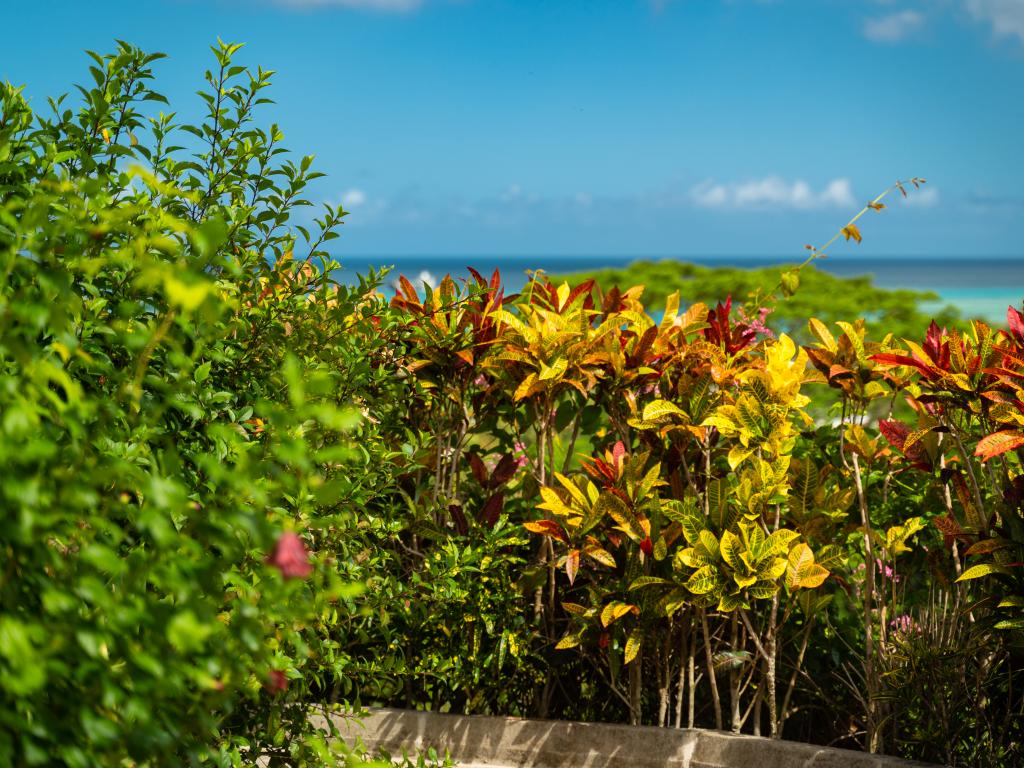 Ogumka 2 Self Catering Santa Maria - Foto 9