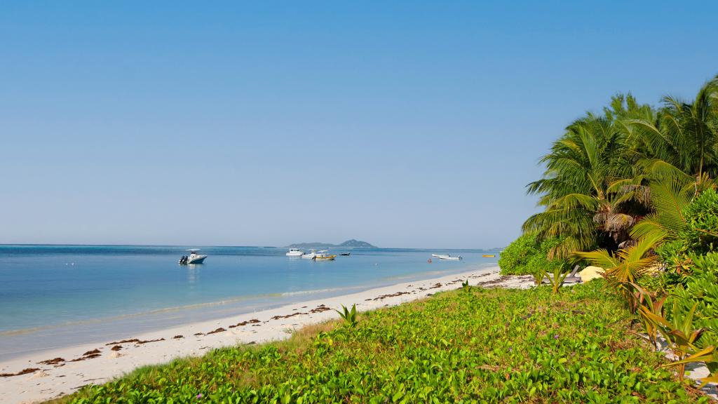 Photo 47: MacMillan's Holiday Villas - Praslin (Seychelles)