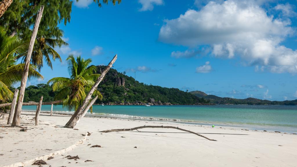 Foto 17: Myra's Self Catering Apartment - Praslin (Seychelles)