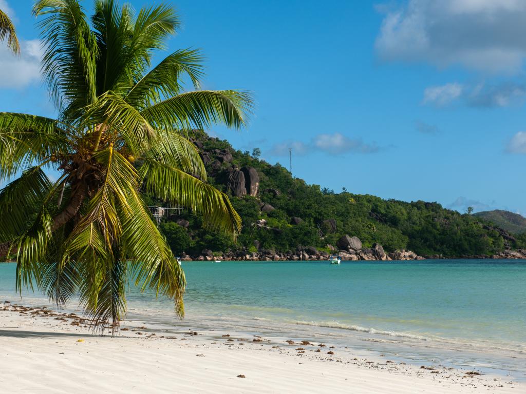 Myra's Self Catering Apartment - Photo 7