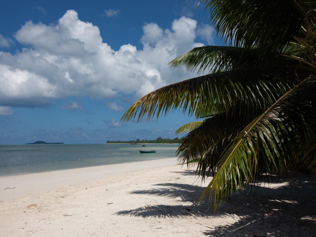 Oasis Hotel, Restaurant & Spa - Foto 7