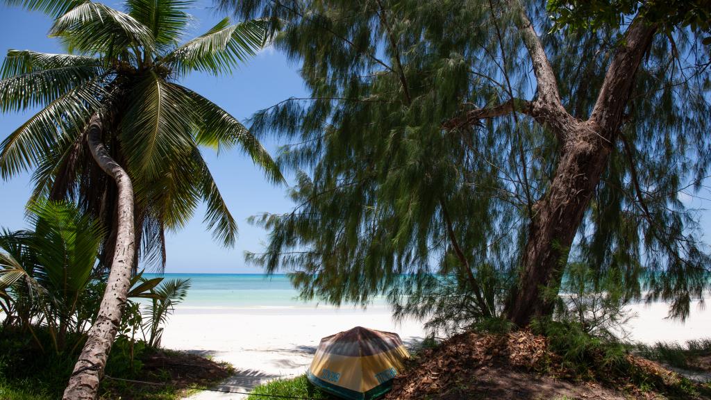 Photo 19: Treasure Villa - Praslin (Seychelles)