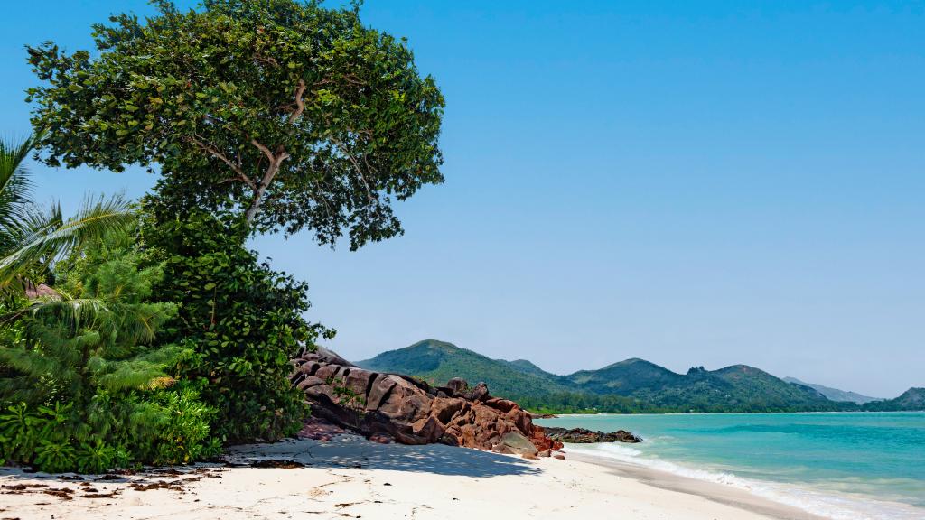 Photo 23: Treasure Villa - Praslin (Seychelles)