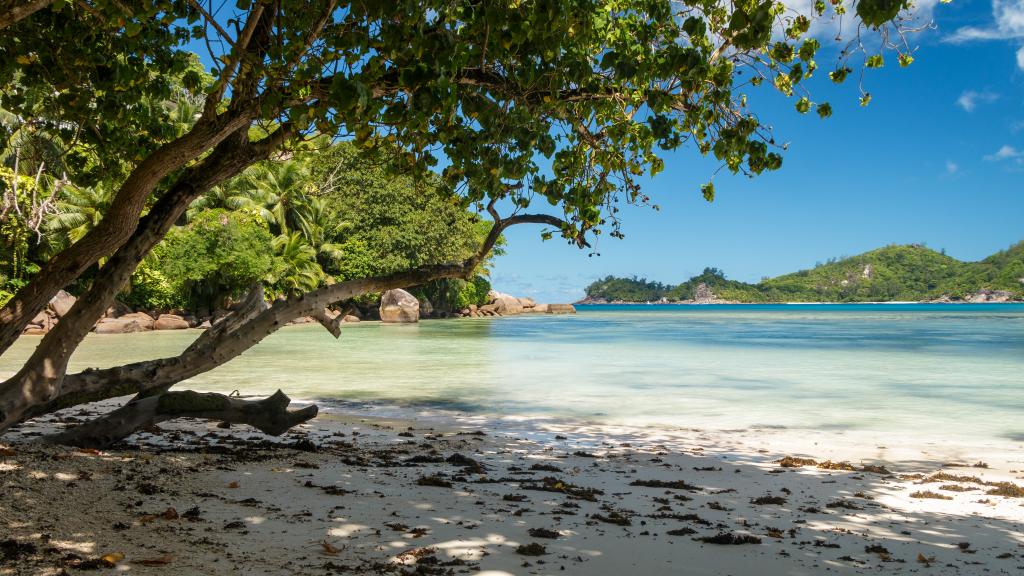 Photo 24: Zeph Self Catering - Mahé (Seychelles)