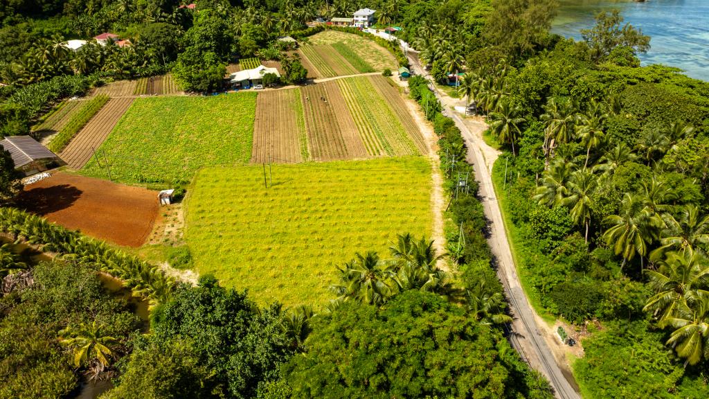 Foto 27: Zeph Self Catering - Mahé (Seychelles)