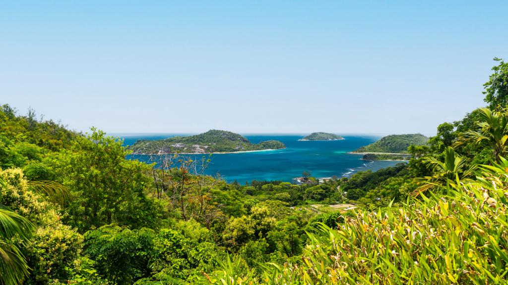 Foto 13: Amuse Bush - Mahé (Seychellen)