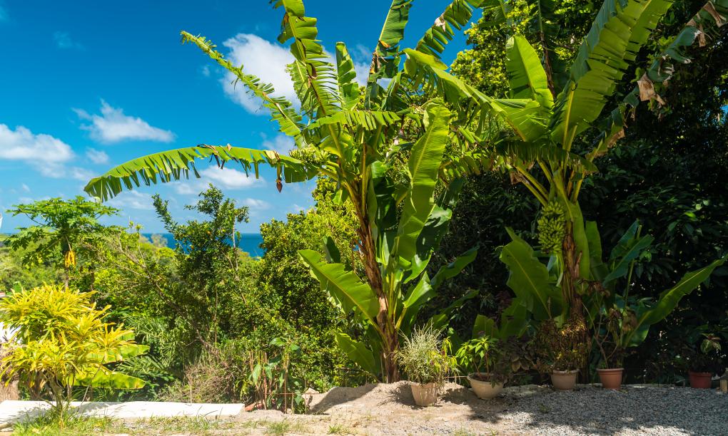 Tandif Villa Sea View