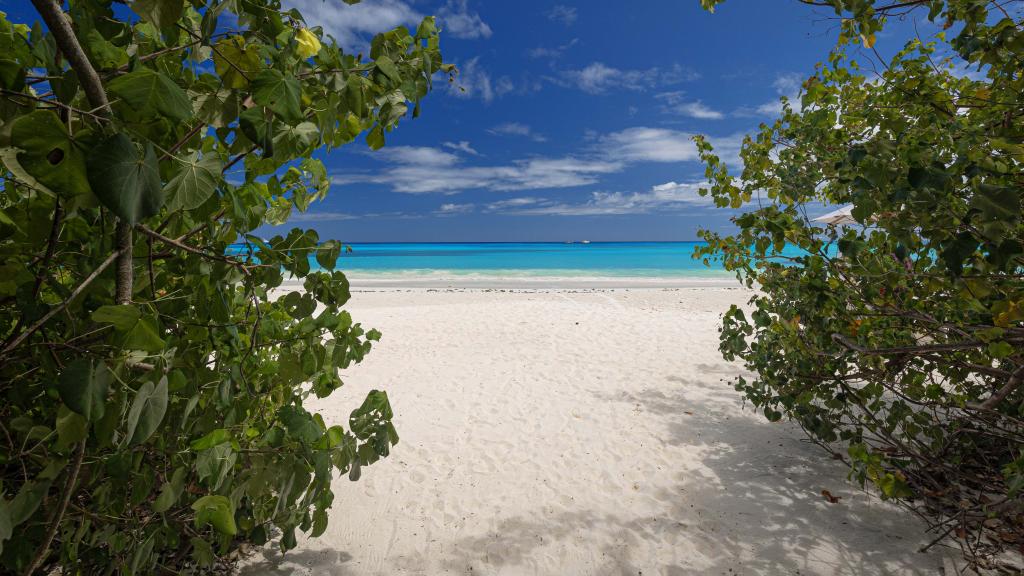 Foto 42: La Cigale Estate - Praslin (Seychellen)