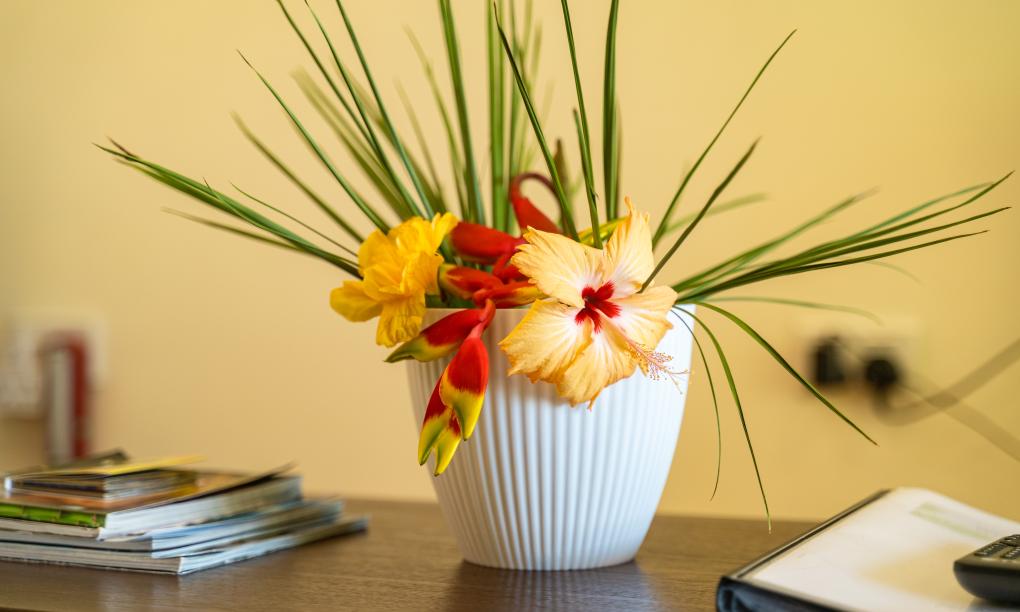 Will's Apartments - Standard Apartment Denis